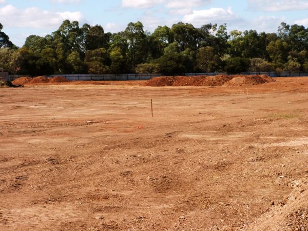 Cost of Field Clearing in Renton