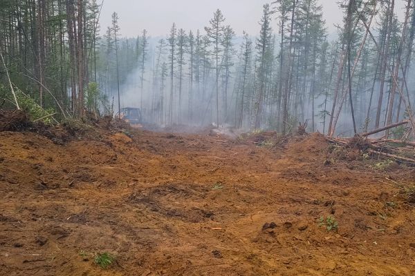 Cost of Hill Clearing in Renton