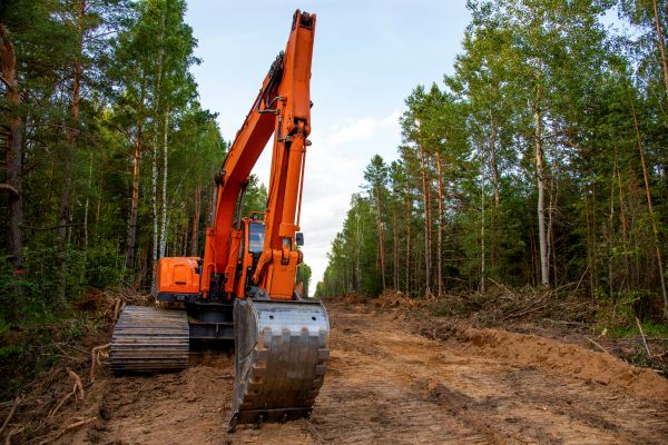 Cost of Backhoe Land Clearing in Renton