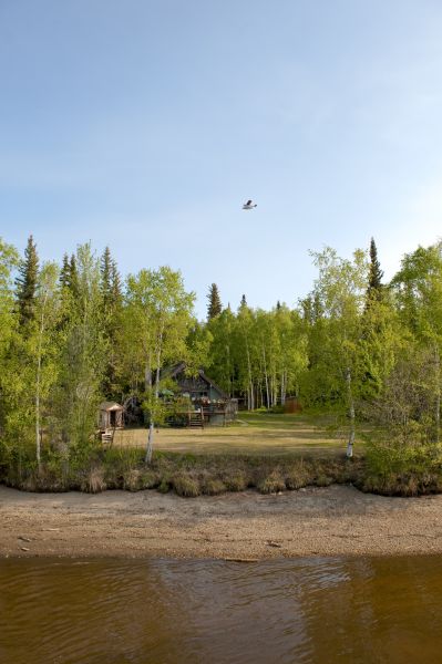 Cost of Waterfront Land Clearing in Renton