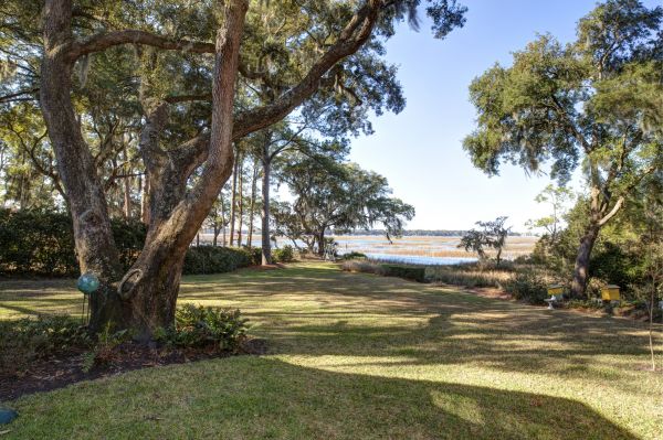 Cost of Lakefront Property Clearing in Renton